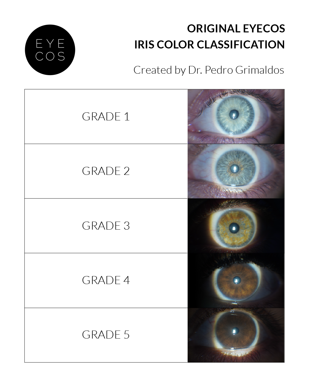 clasificacion-grados IN